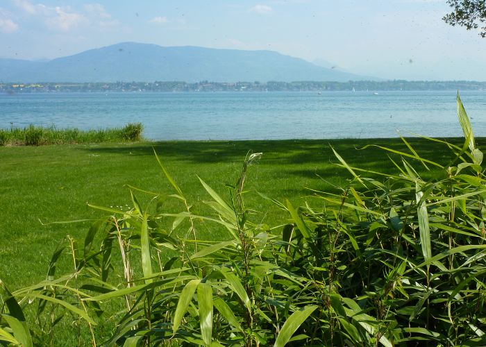 Terrain pieds dans l'eau